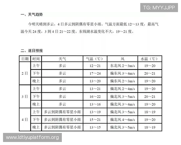 世界杯比赛埃及对比利时当天球场天气情况及对比赛战术的影响分析